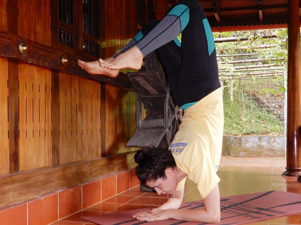 Yoga Batch Practice Sessions